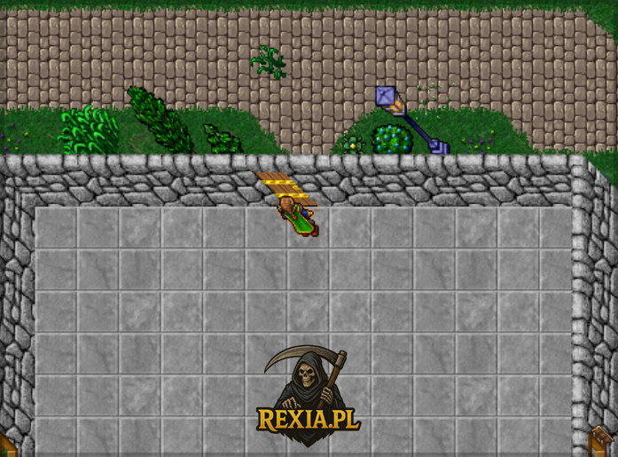 Rexia Push King Event